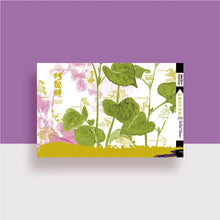 将图片加载到图库查看器,(預購)阿聰師 - 大甲芋頭Q禮盒(麻糬)(9入)【奶素】